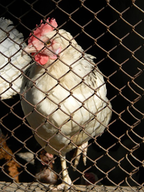 战术执行力 战术执行力