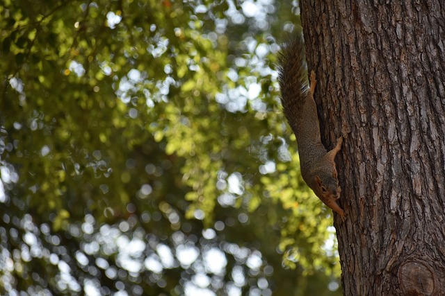 造与文化传 造与文化传