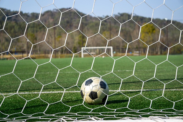 这场宝贵的 这场宝贵的