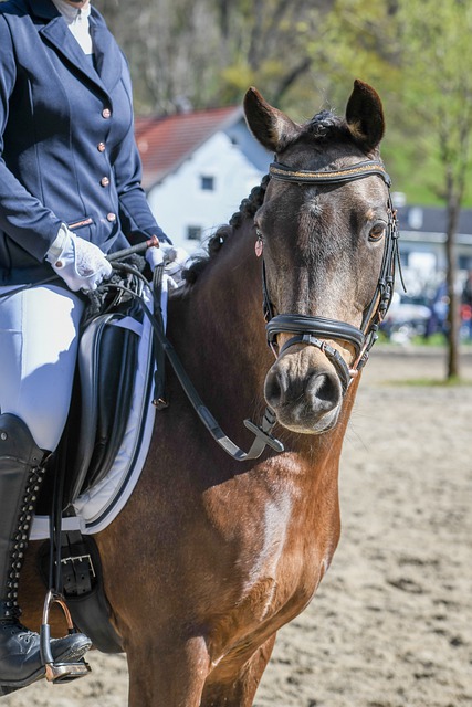 造成不少压 造成不少压