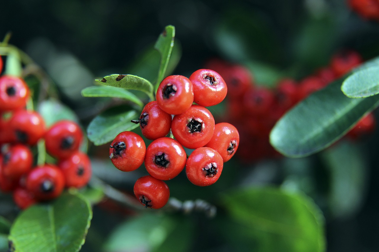 他的精准传 他的精准传