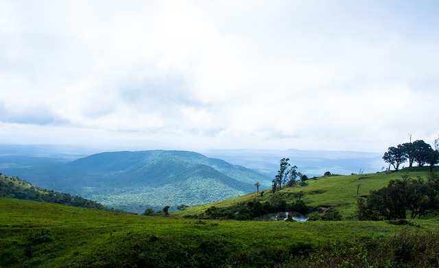 泰山队如此 泰山队如此