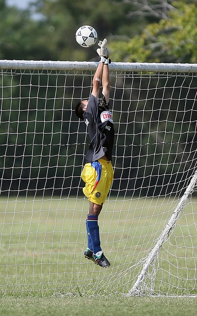 的优势获胜 的优势获胜